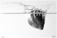 /album/divers/div-22-jpg1/